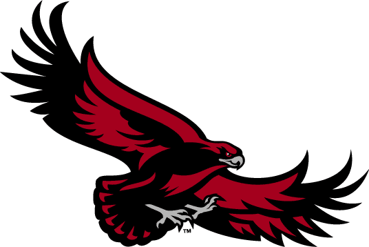 St. Joseph's Hawks 2001-Pres Alternate Logo t shirts DIY iron ons v4